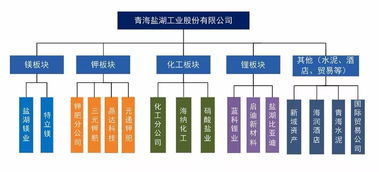 鉀肥巨頭陷債務(wù)危機(jī) 無(wú)力償還439萬(wàn)元債務(wù)，被申請(qǐng)重整恐臨破產(chǎn)